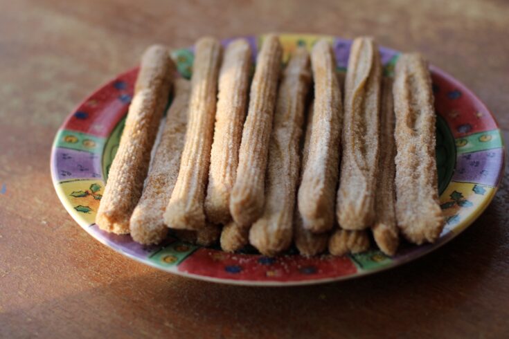 Disney Parks Snacks – Churros